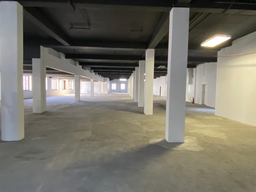 To Let commercial Property for Rent in Cape Town City Centre Western Cape